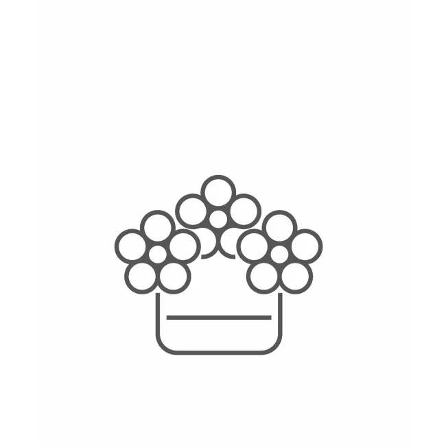 Box růžových růží